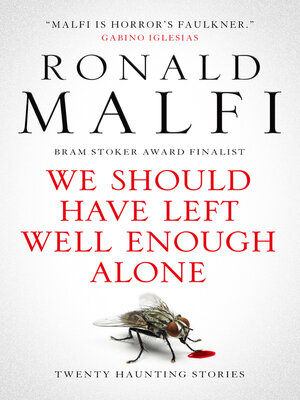 cover image of We Should Have Left Well Enough Alone